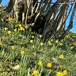 Апартаменты Mont-crosin, Chez Les Quadeurs Cormoret