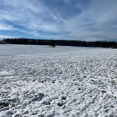 Mont-crosin, Chez Les Quadeurs