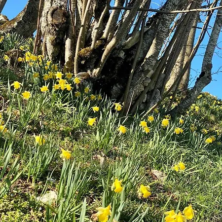 Apartment Mont-crosin, Chez Les Quadeurs Cormoret