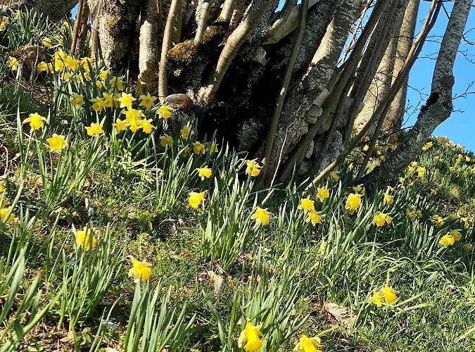 Lejlighed Mont-crosin, Chez Les Quadeurs Cormoret